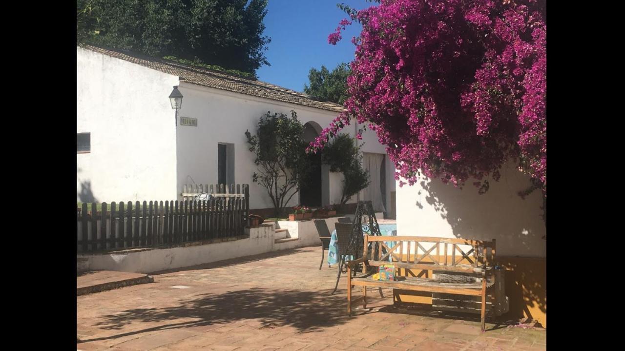 El Carmen Homestay *